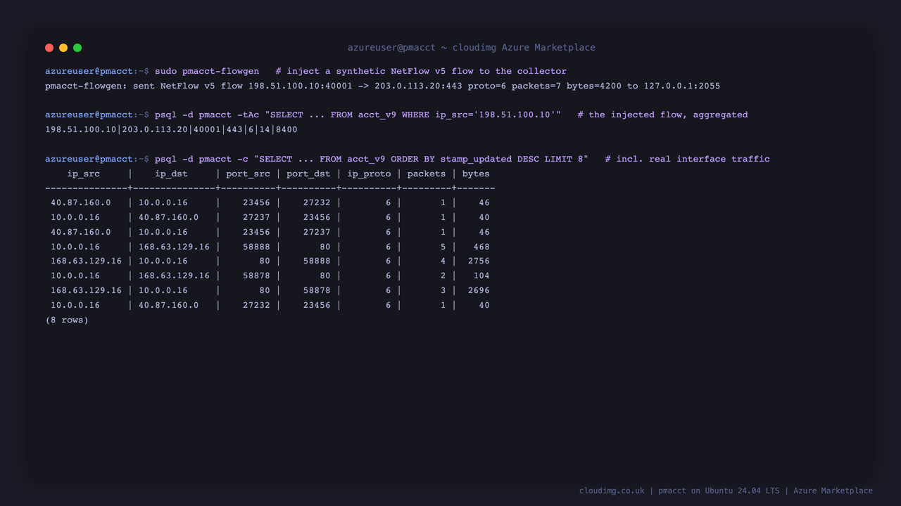 The synthetic flow injected with pmacct-flowgen appearing aggregated in the acct_v9 table with its exact source, destination, port, protocol, packet and byte counts