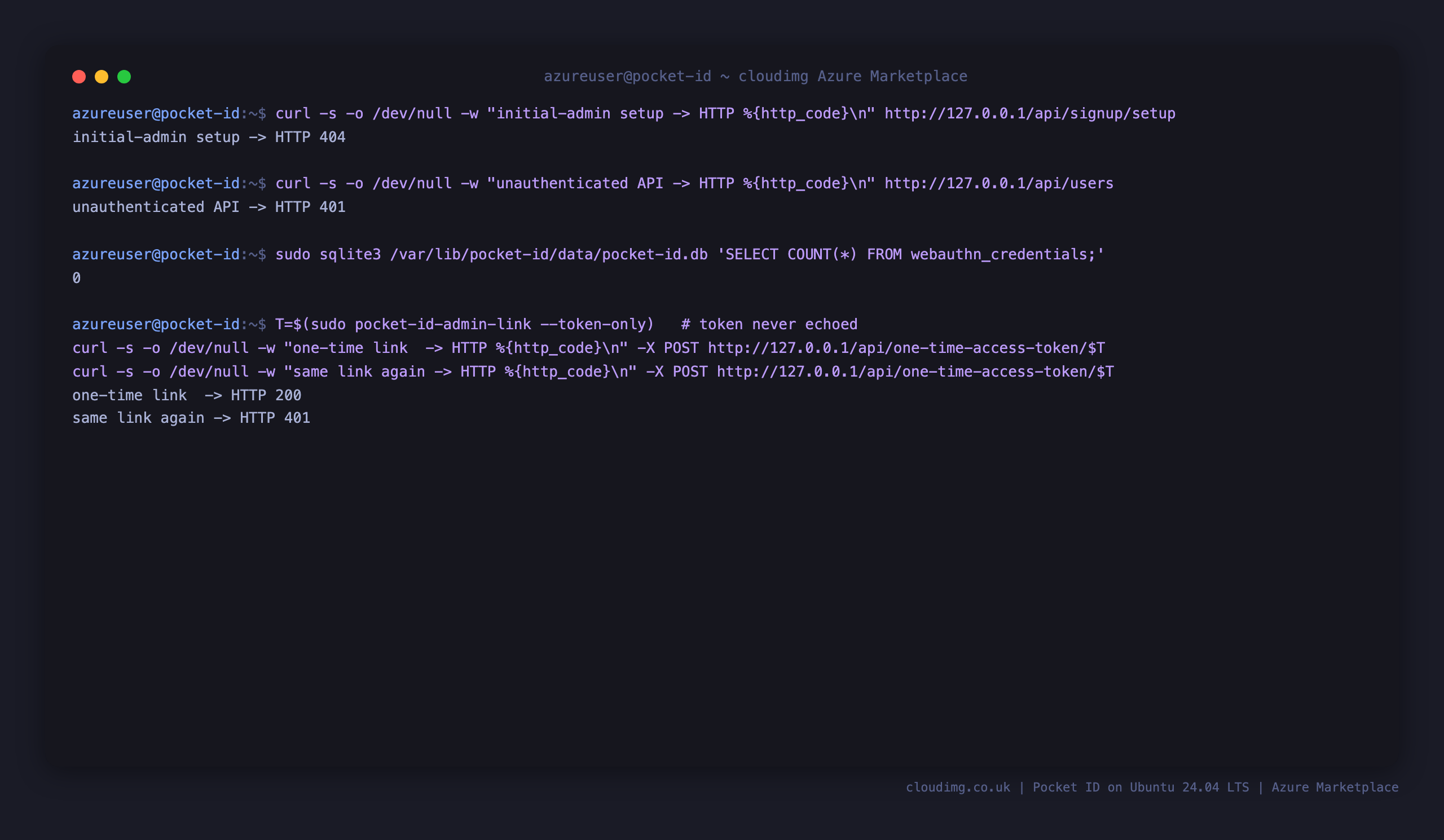 The initial admin setup route returning 404, the unauthenticated API returning 401, zero passkeys in the database, and a one time link accepted once then rejected on replay