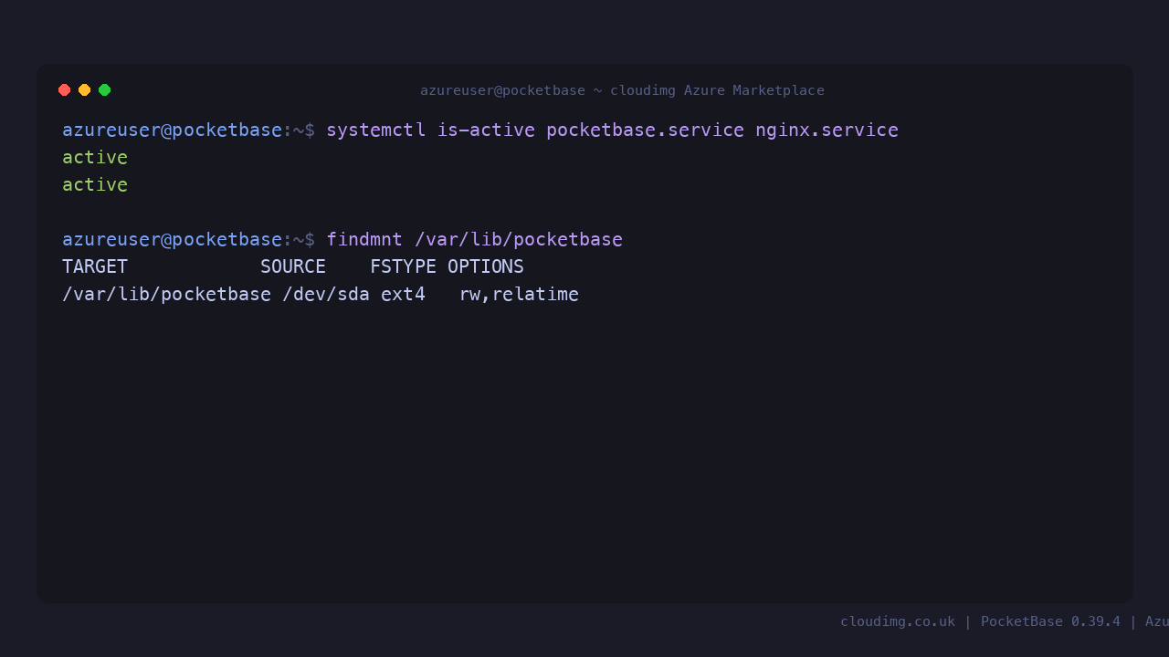 pocketbase.service and nginx.service active with the dedicated data disk mounted