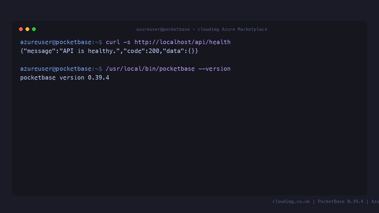 PocketBase health endpoint returning 200 and the installed version