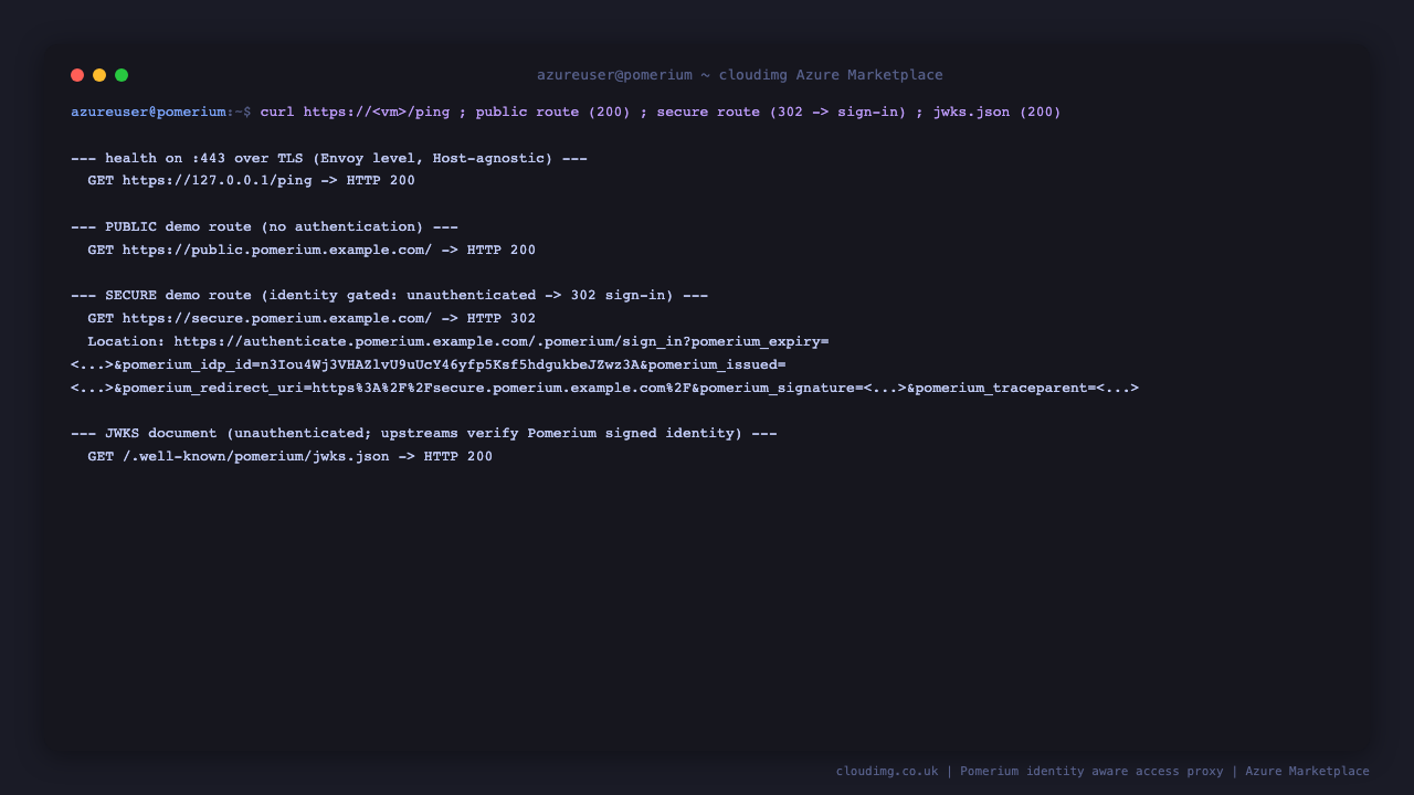 curl showing /ping return HTTP 200 over TLS, the public demo route return HTTP 200 proxied with no authentication, the secure demo route return HTTP 302 with a redirect to the authenticate sign in URL, and the JWKS endpoint return HTTP 200