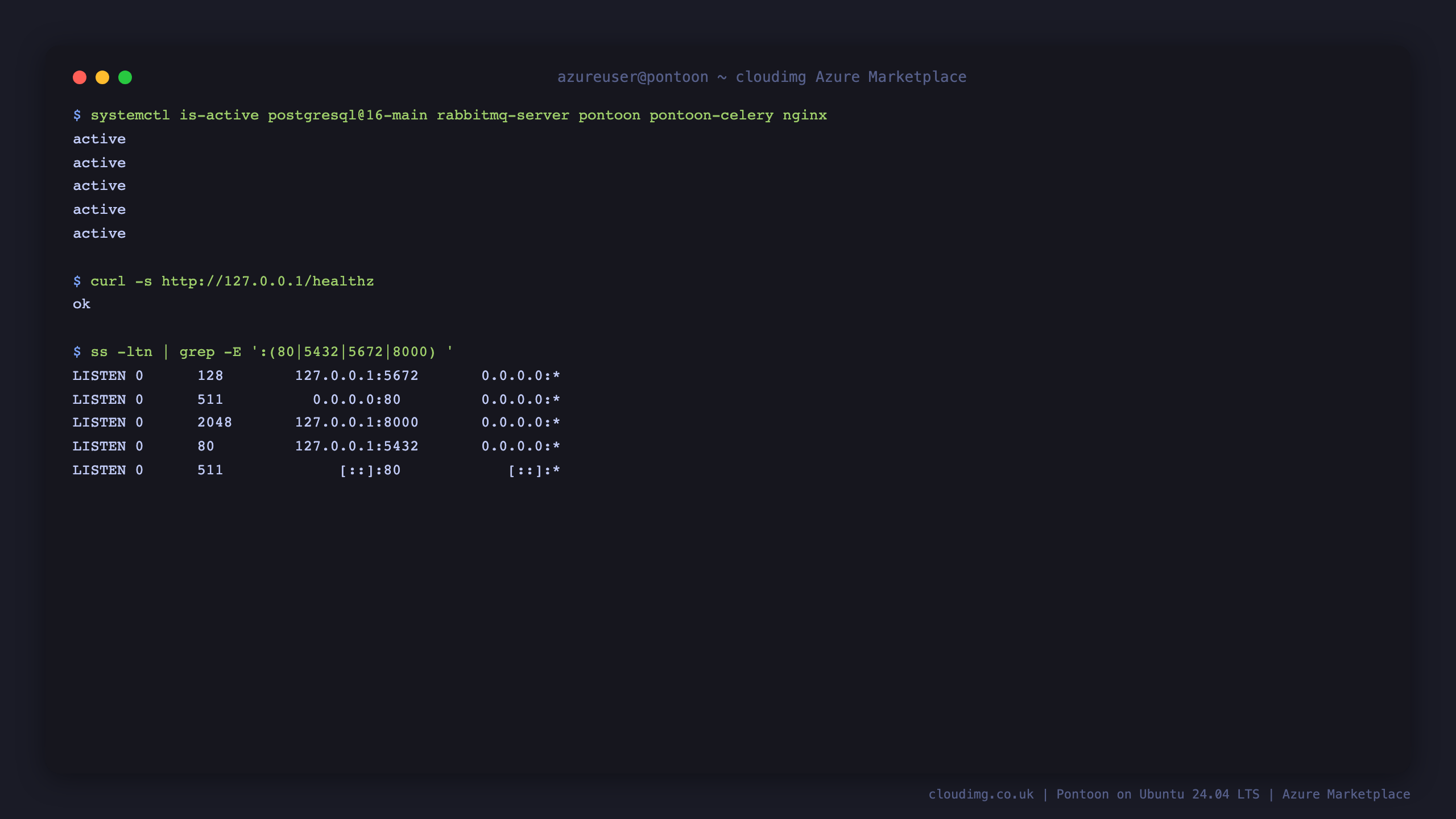 Pontoon service status on Ubuntu 24.04