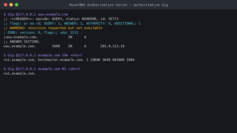 dig for www.example.com returns an authoritative answer with the aa flag set and the A record 203.0.113.10, and the SOA and NS records for example.com are returned with the plus short option