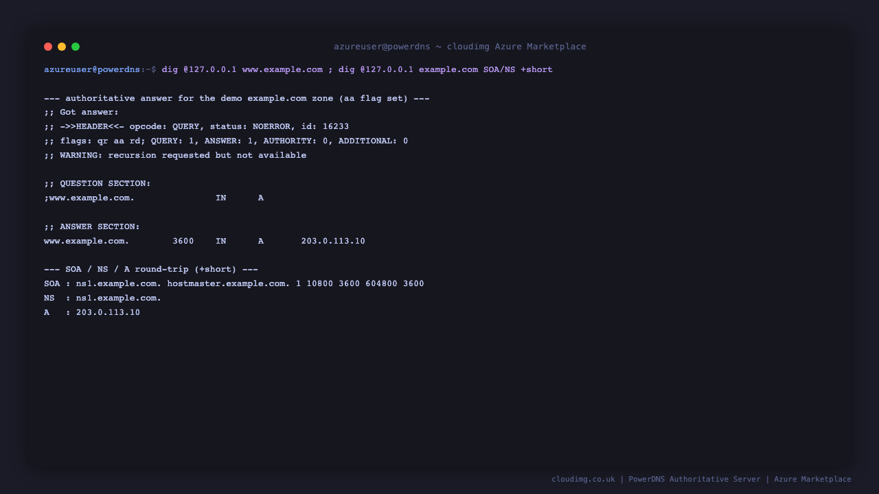 dig for www.example.com returns an authoritative answer with the aa flag set and the A record 203.0.113.10, and the SOA and NS records for example.com are returned with the plus short option
