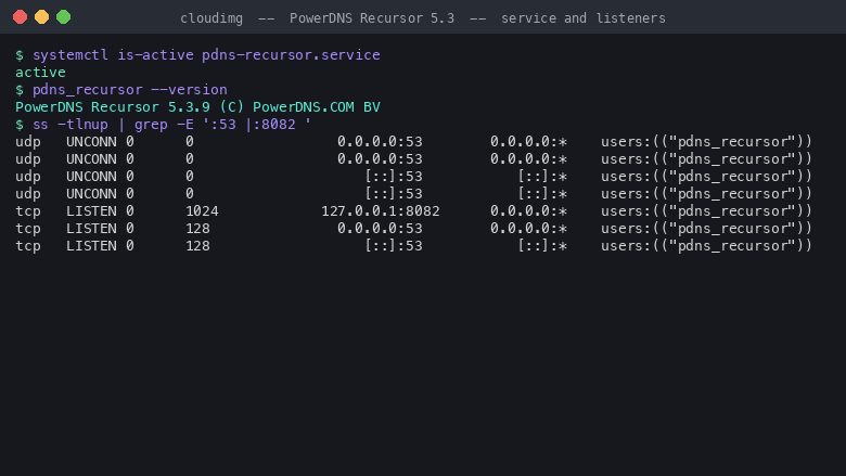 pdns-recursor.service active, pdns_recursor reports PowerDNS Recursor 5.3.9, and ss shows DNS listening on port 53 udp and tcp on all interfaces while the REST API is bound to 127.0.0.1 port 8082 loopback only