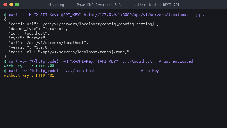 the REST API server info endpoint returns JSON with daemon_type recursor and version 5.3.9 when called with the per instance X-API-Key, an authenticated request returns HTTP 200 while a request without a key returns HTTP 401