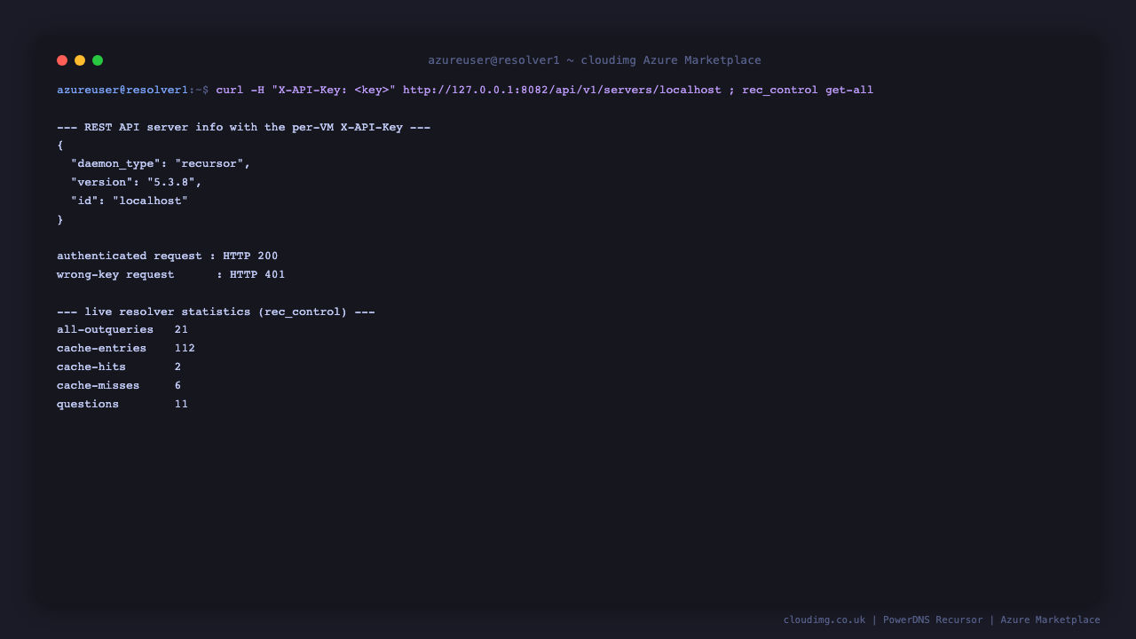 the REST API server info endpoint returns JSON with daemon_type recursor and version 5.3.8 when called with the per VM X-API-Key, rec_control reports live query and cache statistics, and an authenticated request returns HTTP 200 while a request with a wrong key returns HTTP 401