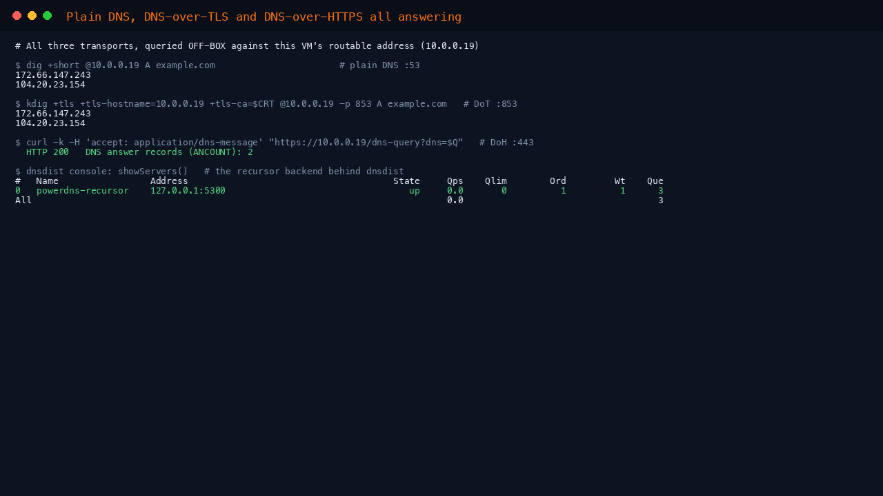 Plain DNS, DNS over TLS and DNS over HTTPS all answering