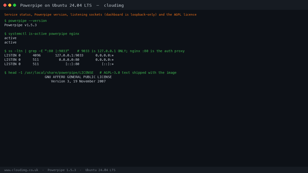 Powerpipe and nginx active; the dashboard server is bound to loopback only, and the AGPL licence ships with the image