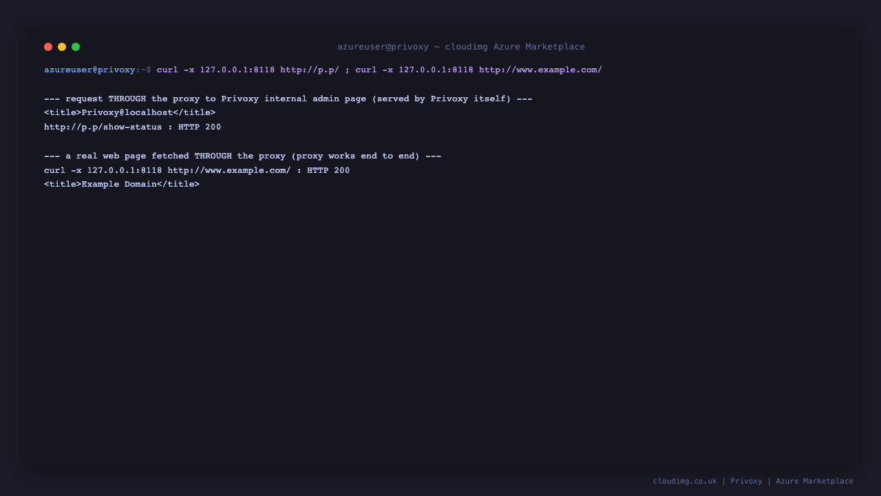 Requesting Privoxy's internal admin page through the proxy returns the Privoxy admin page, and a real fetch of example.com through the proxy returns HTTP 200 with the Example Domain page, proving the proxy works end to end