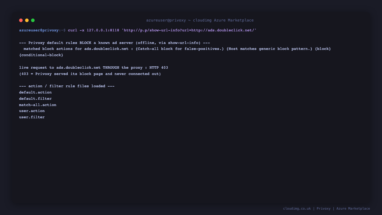 Privoxy blocks a known ad server: the show-url-info page reports the matched block actions and a live request to ads.doubleclick.net through the proxy returns HTTP 403 from Privoxy's block page, with the default action and filter rule files loaded