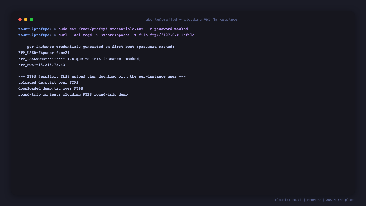 Reading the per instance credentials file with the password masked, then an FTPS upload and download round trip with curl using explicit TLS and the per instance user; both transfers succeed and the downloaded content matches the uploaded content