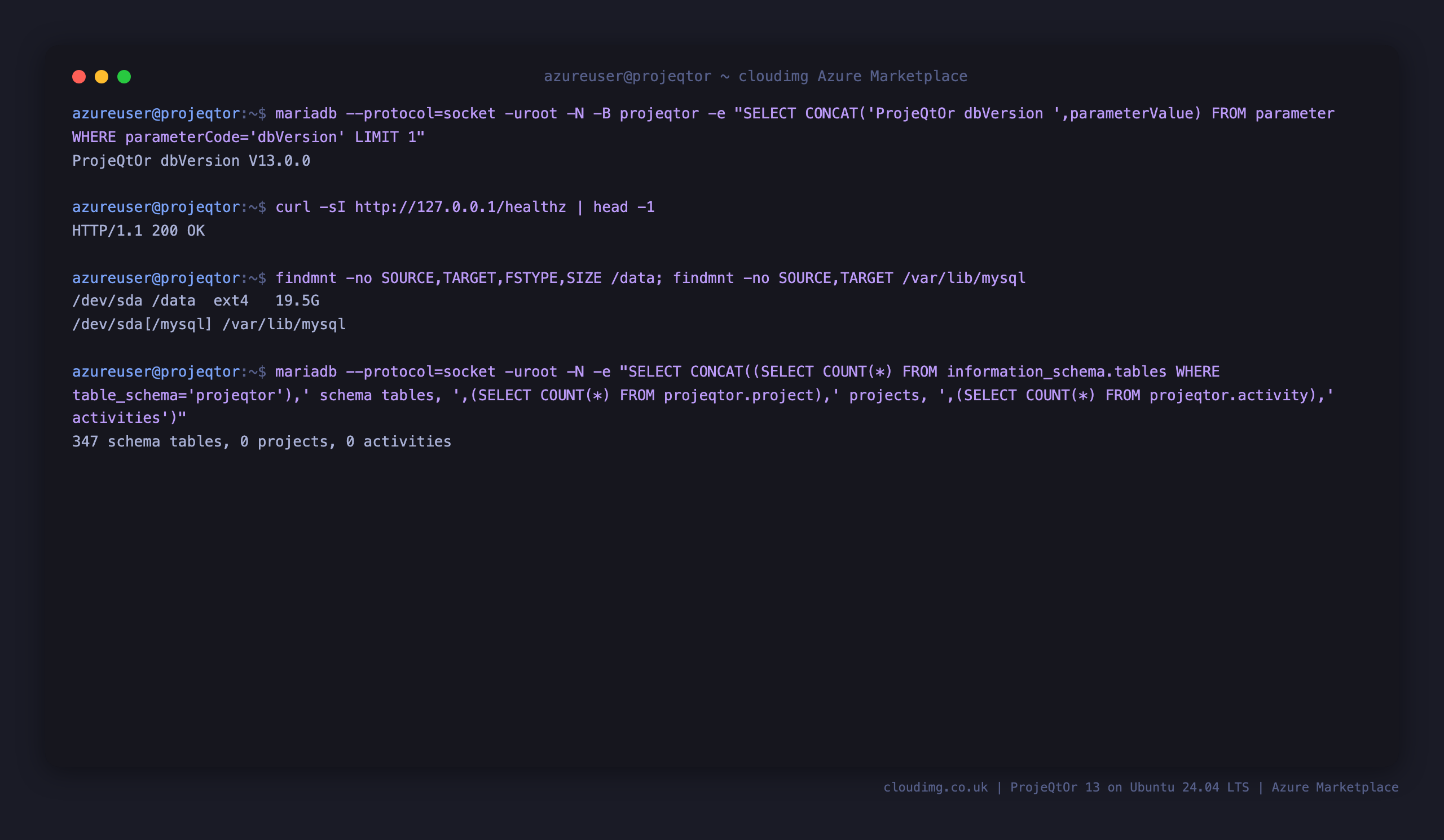 The ProjeQtOr database version V13.0.0, the healthz endpoint returning 200, the ext4 data disk mounted at /data and bind mounted onto /var/lib/mysql, and the schema table, project and activity counts
