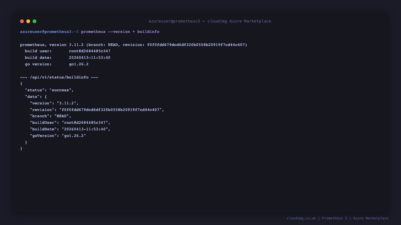 prometheus --version + /api/v1/status/buildinfo confirm v3.x
