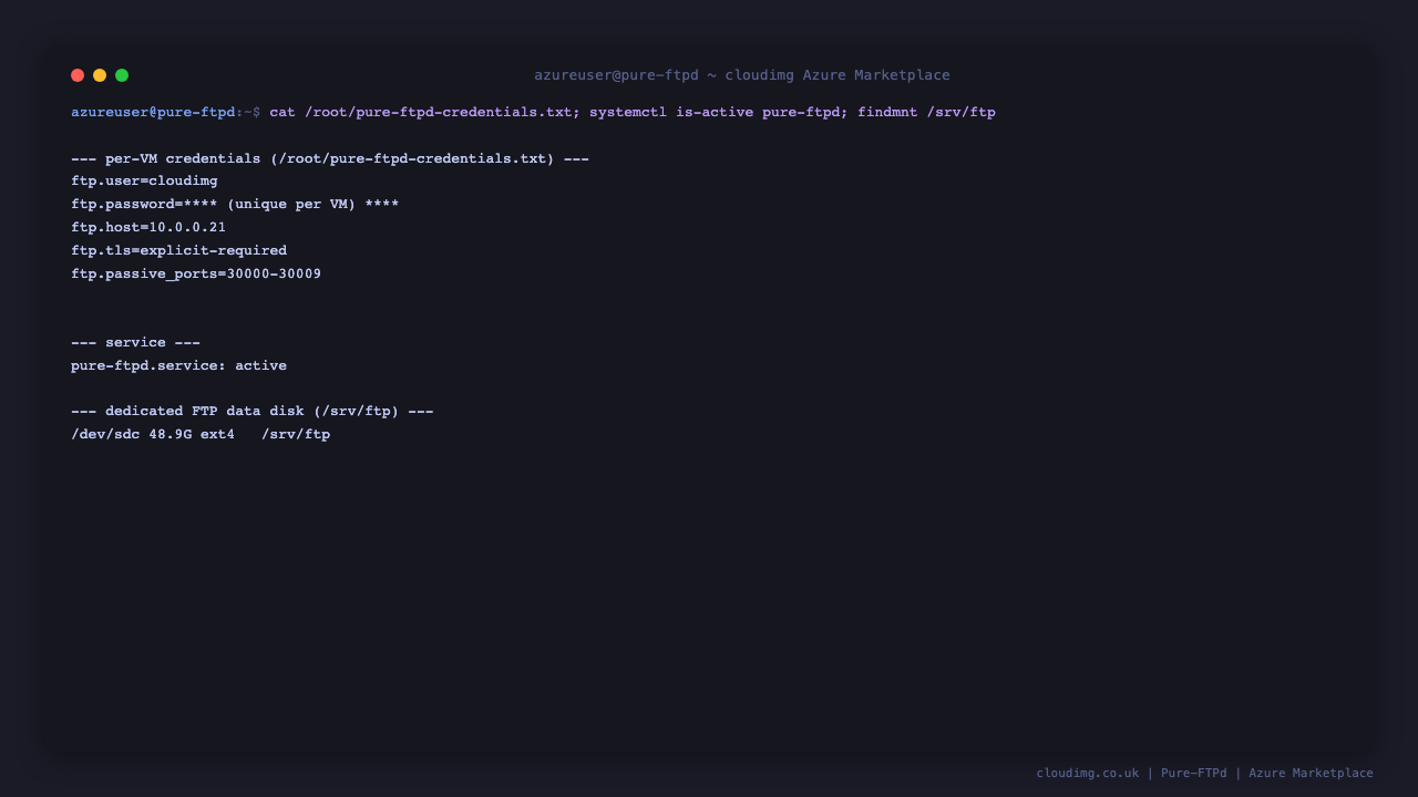The per-VM Pure-FTPd credentials file, the running pure-ftpd service, and the dedicated /srv/ftp data disk mount