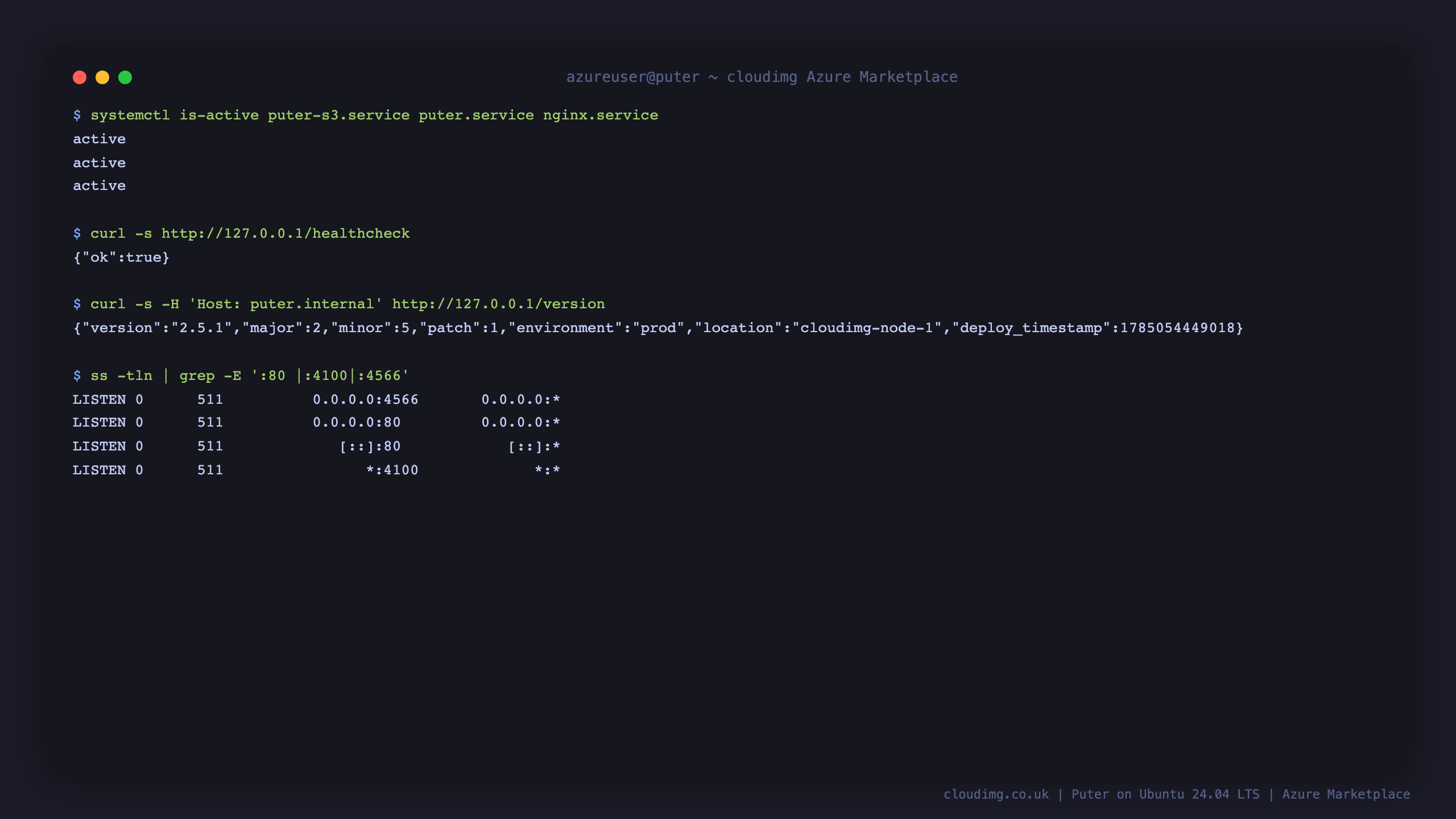 Terminal output showing the three Puter services active, the health endpoint returning ok, the version endpoint reporting the running build, and the listening ports for nginx, the application and the object store