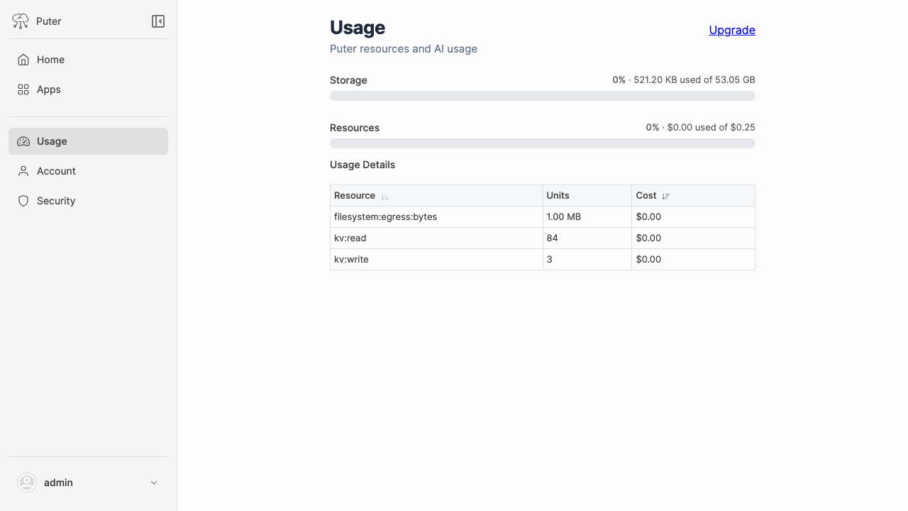 The Puter usage page showing real stored bytes against the available storage on the VM