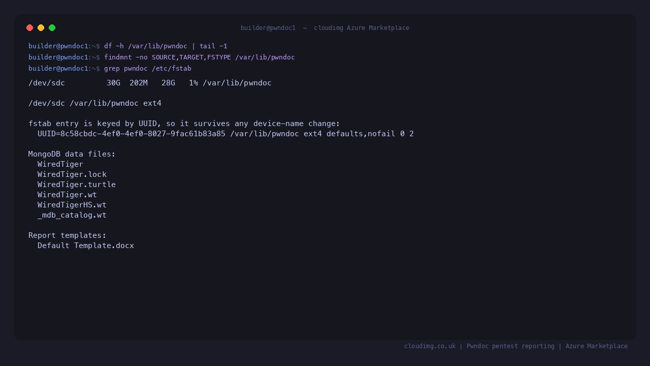 The MongoDB data directory and report templates on the dedicated ext4 data disk, mounted by UUID rather than by device name