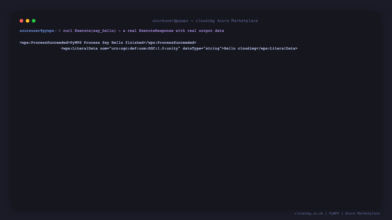 DescribeProcess for say_hello followed by a real Execute call, returning wps:ProcessSucceeded and the literal output "Hello World"