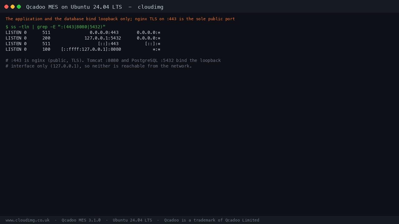 Qcadoo MES loopback bindings, only nginx TLS is public