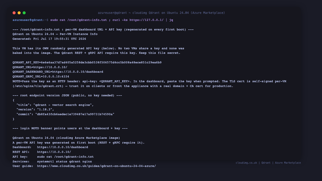 Terminal showing the per VM instance info note with the dashboard URL and API key, the public version JSON from the root endpoint, and the login banner pointing users at the dashboard
