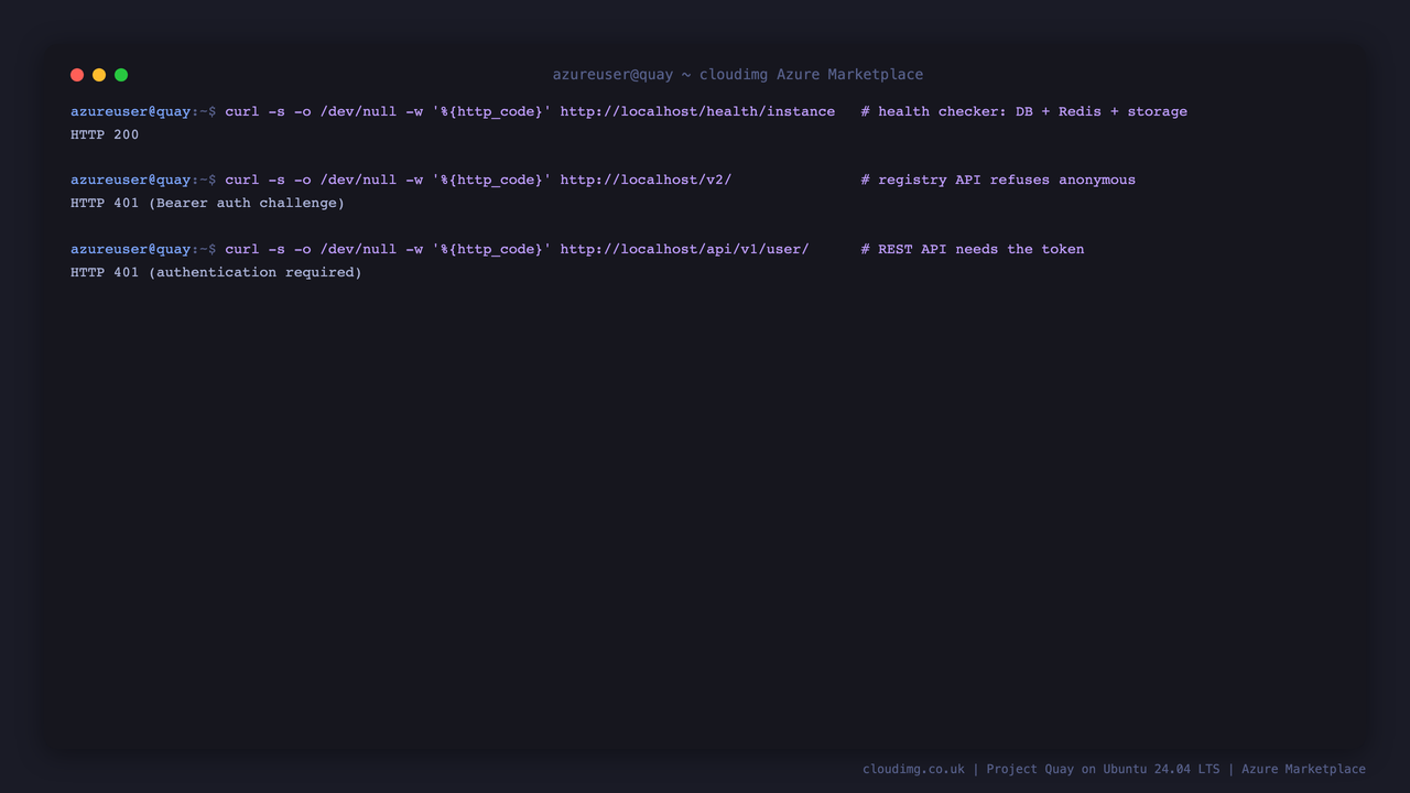 The health checker returning 200 and the registry and REST APIs refusing anonymous requests with 401