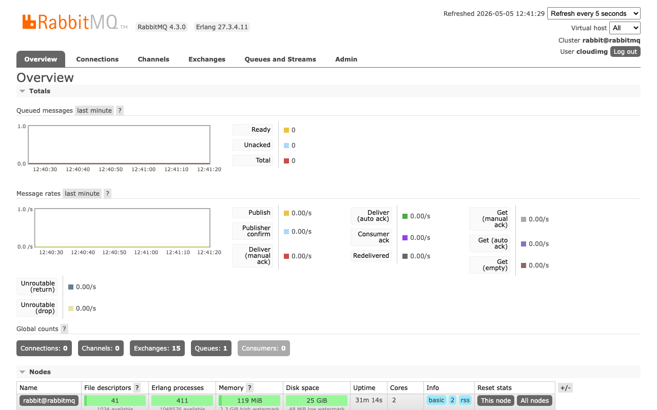 RabbitMQ management overview dashboard with broker statistics
