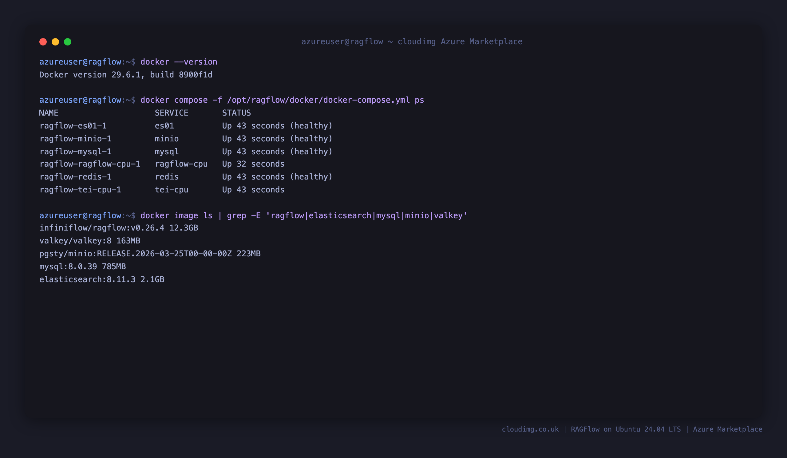 Docker version, the RAGFlow, Elasticsearch, MySQL, MinIO and Redis containers all Up or healthy, and the pulled RAGFlow, Elasticsearch, MySQL and MinIO images on disk