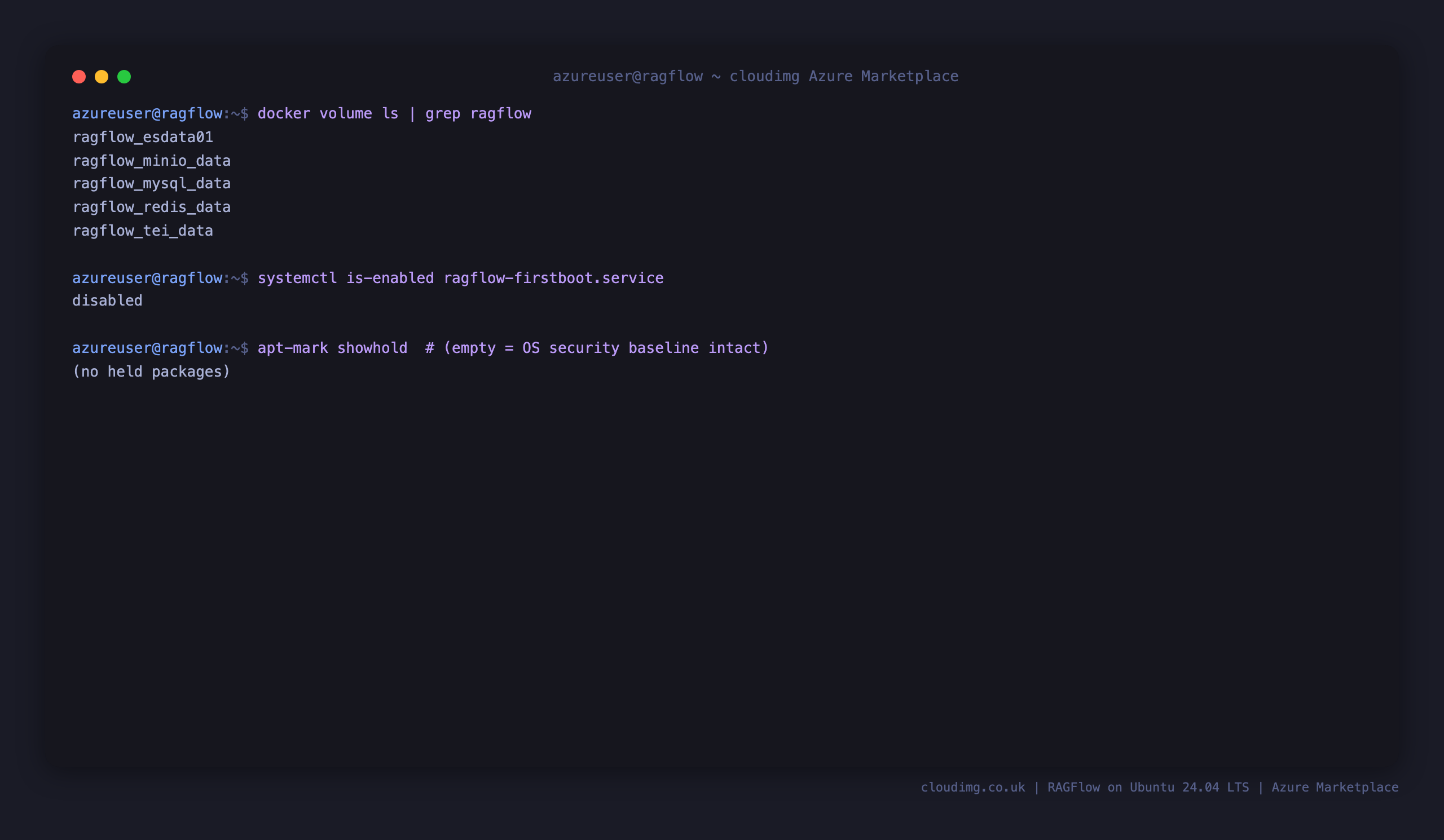 The RAGFlow MySQL, MinIO, Elasticsearch, Redis and embedding Docker volumes, the first boot service state, and an intact OS patch baseline with no held packages