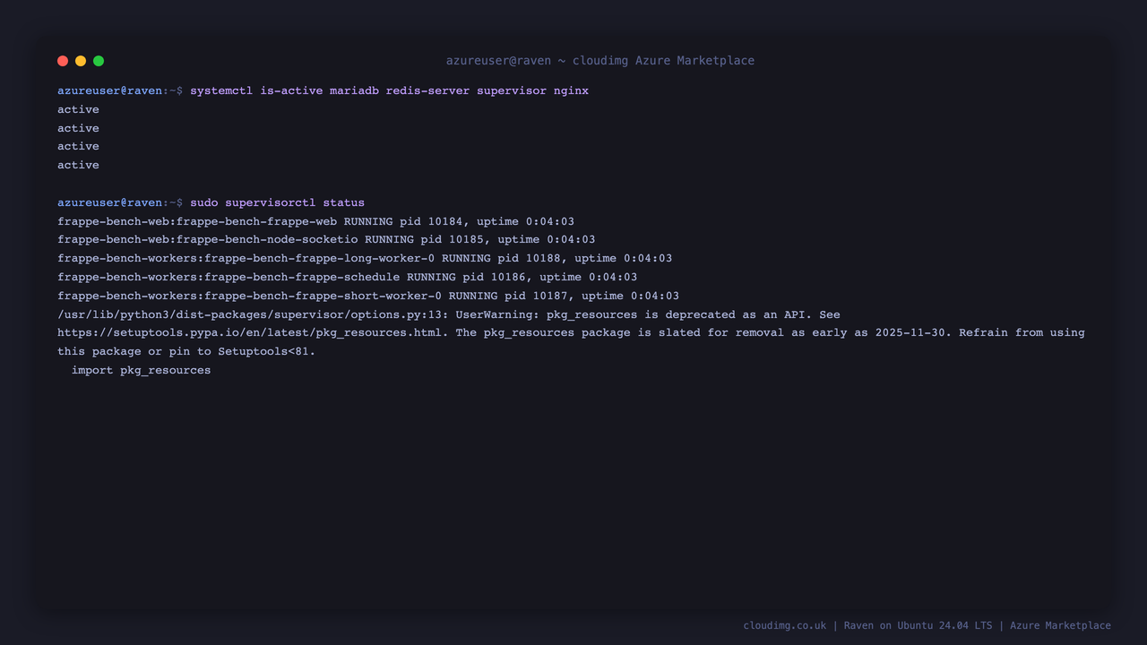 Raven service status on Ubuntu 24.04