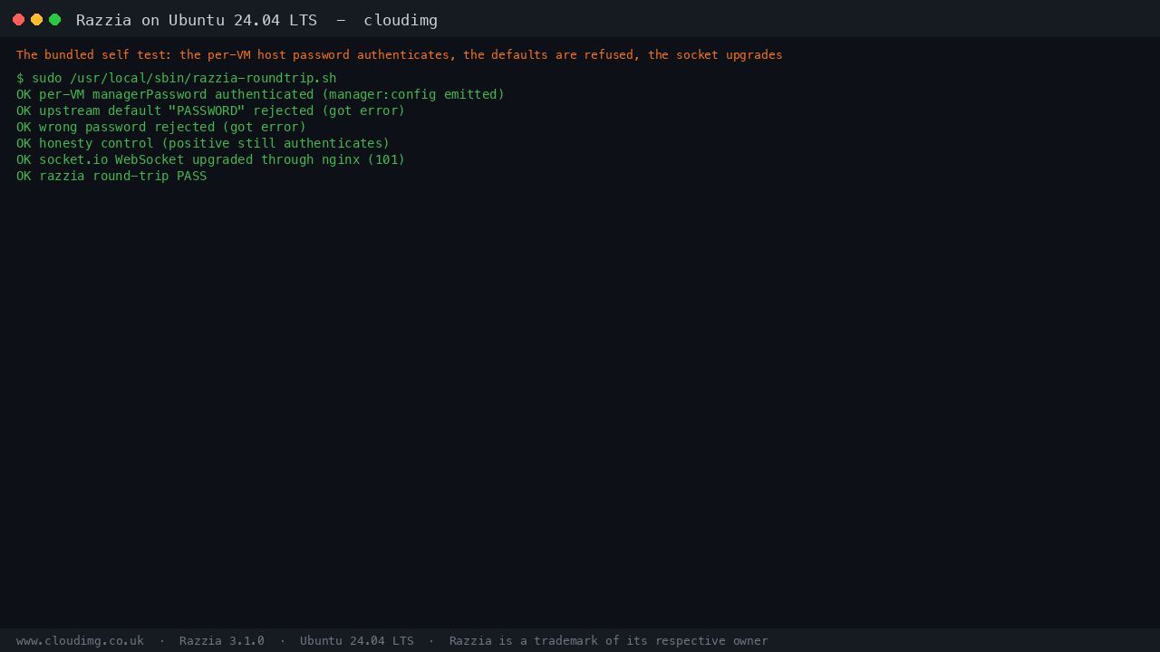 The bundled self test reporting OK for the per-VM manager login, the upstream default PASSWORD rejected, a wrong password rejected, the honesty control, and the socket.io WebSocket upgrading through nginx with a 101