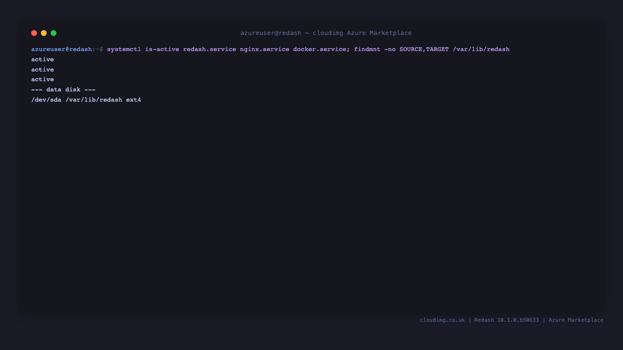 redash.service, nginx.service and docker.service active with the dedicated data disk mounted