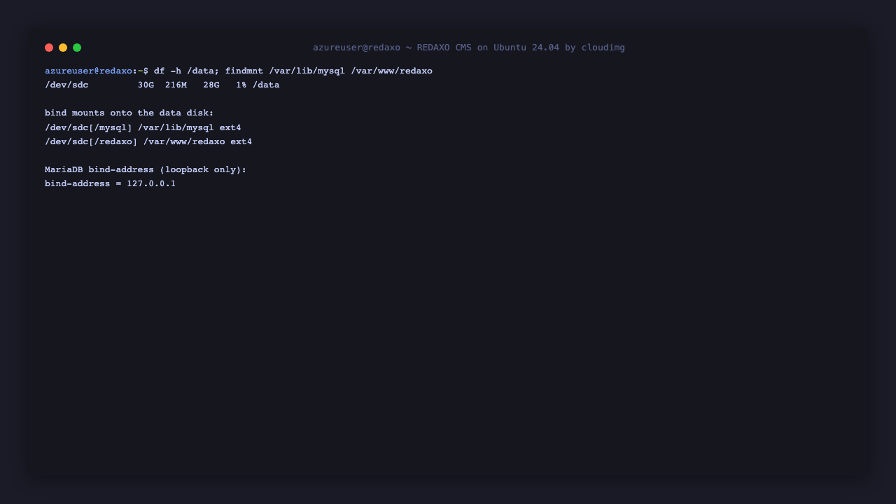 The REDAXO, PHP and MariaDB versions with the ext4 data disk mounted at /data and bind mounted onto both the MariaDB datadir and the REDAXO application tree