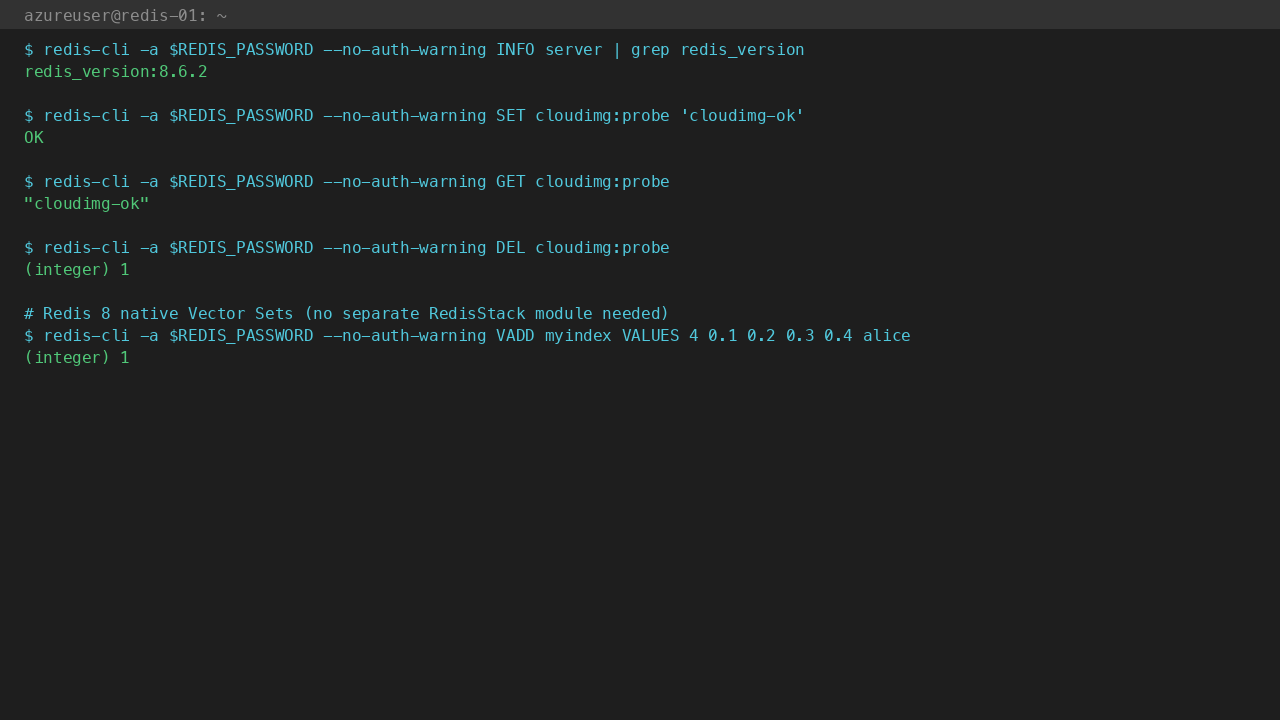Redis 8.6.2 INFO server confirms version; SET / GET / DEL round-trip on cloudimg:probe key returns OK / cloudimg-ok / 1