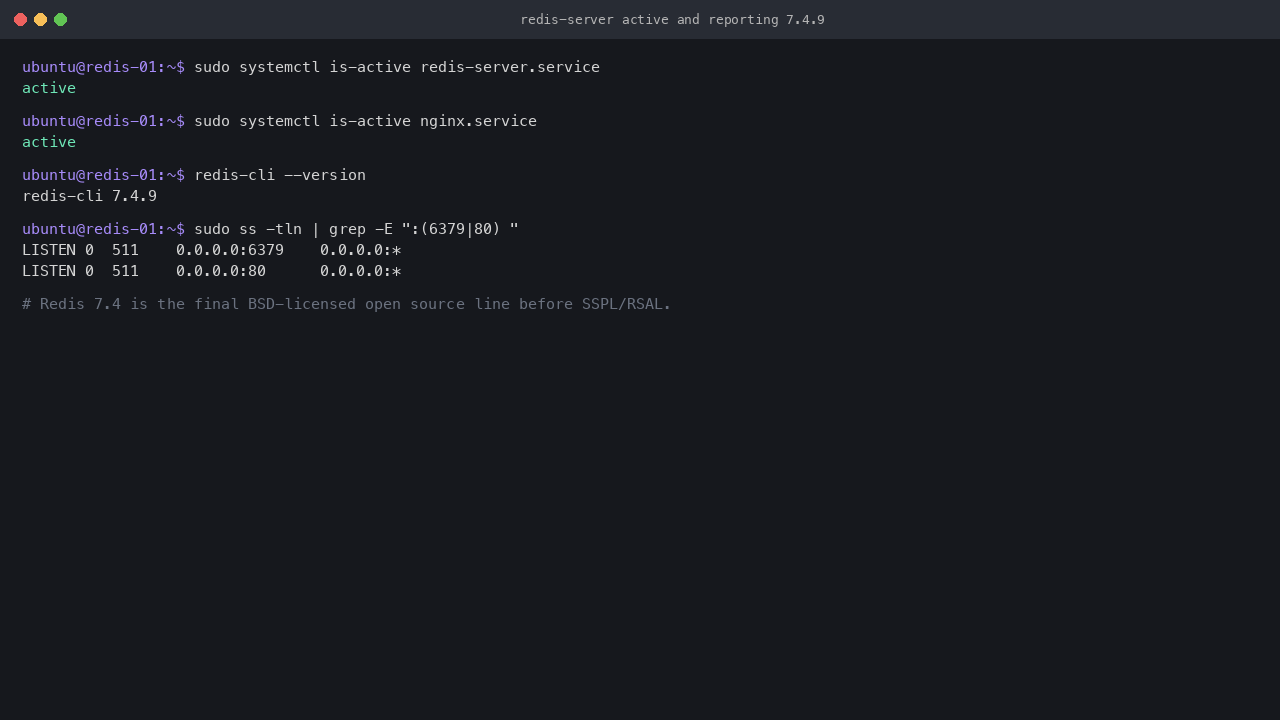 Redis 7.4 server active
