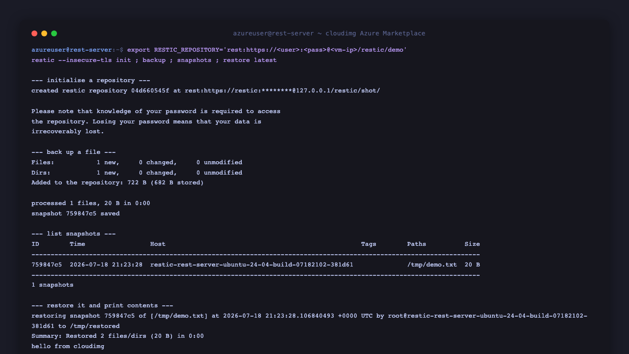 the restic client initialises a repository at rest https 127.0.0.1 restic demo, backs up demo.txt, lists one snapshot, then restores it and prints hello from cloudimg, all over the appliance HTTPS endpoint with the per VM username and password