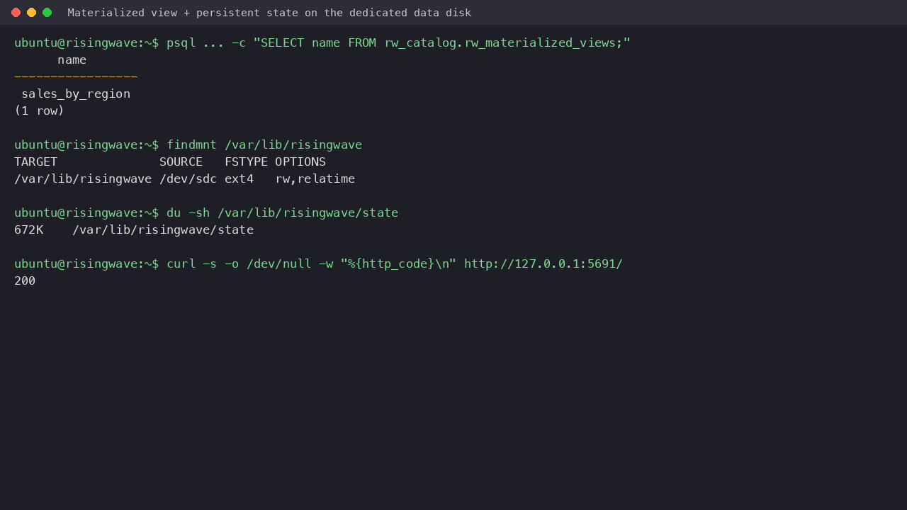 RisingWave materialized view and persistent state on the data disk