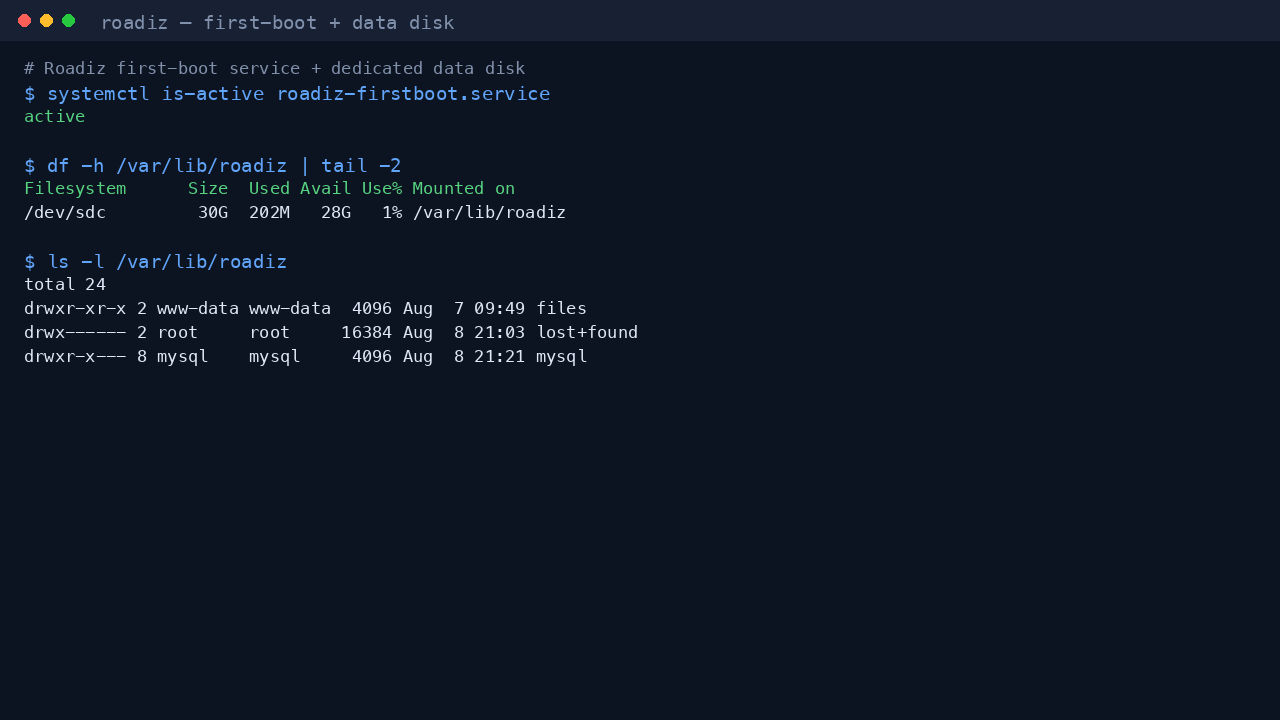Roadiz first-boot service and data disk