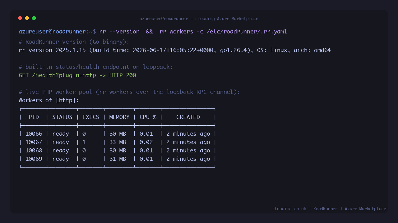 rr version 2025.1.15 reported by the Go binary, the status health endpoint returning HTTP 200 on loopback, and the live PHP worker pool listed by rr workers