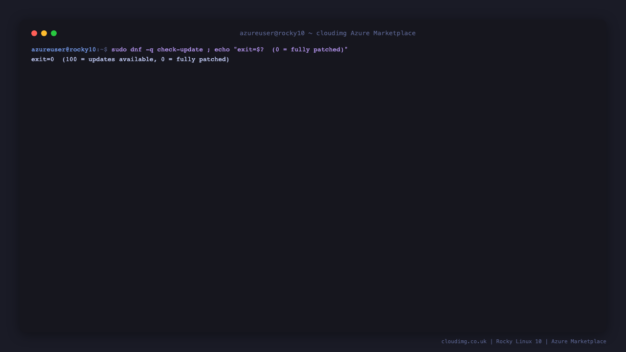 Confirming the image is fully patched