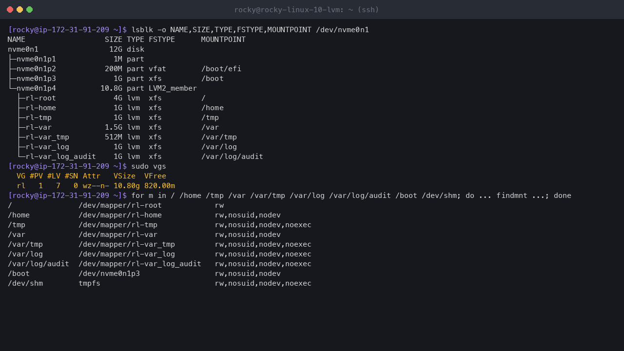 Terminal output showing the 12 GiB disk with EFI and /boot partitions and an LVM physical volume, the volume group rl with 820 MiB free, and the seven XFS logical volumes for /, /home, /tmp, /var, /var/tmp, /var/log and /var/log/audit with their nodev, nosuid and noexec mount options