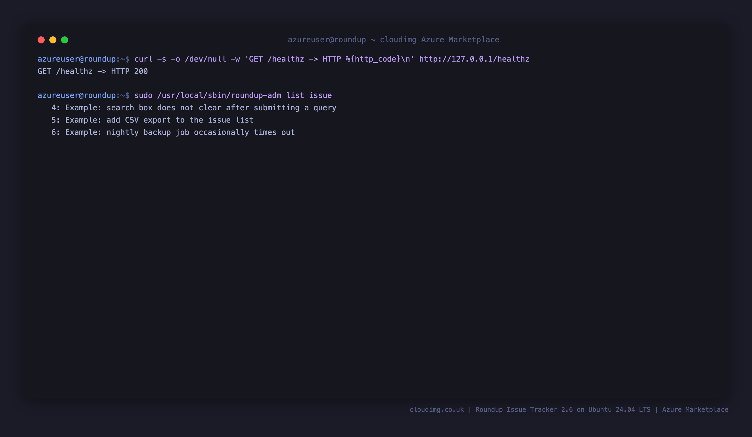 Terminal showing the /healthz endpoint returning 200 and the list of issues held by the tracker
