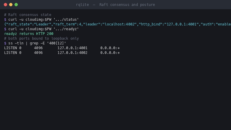 Real Raft consensus state from a single rqlite node, showing leadership, the current term, the node listing and a passing readiness probe