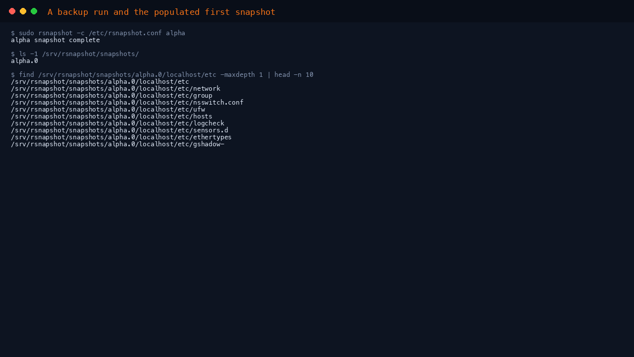 A backup run and the populated first snapshot under the dedicated volume