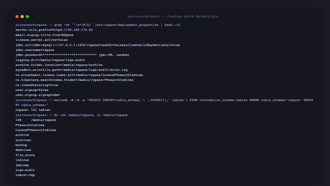 The RSpace deployment configuration with the database password masked, the database table count, and the contents of the RSpace file store