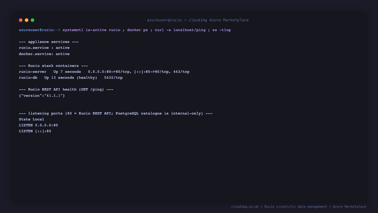 The rucio.service and docker.service report active, docker ps shows the rucio-server and rucio-db containers up, GET /ping returns the Rucio version 41.1.1, and ss shows only port 80 listening for the REST API while the PostgreSQL catalogue stays internal