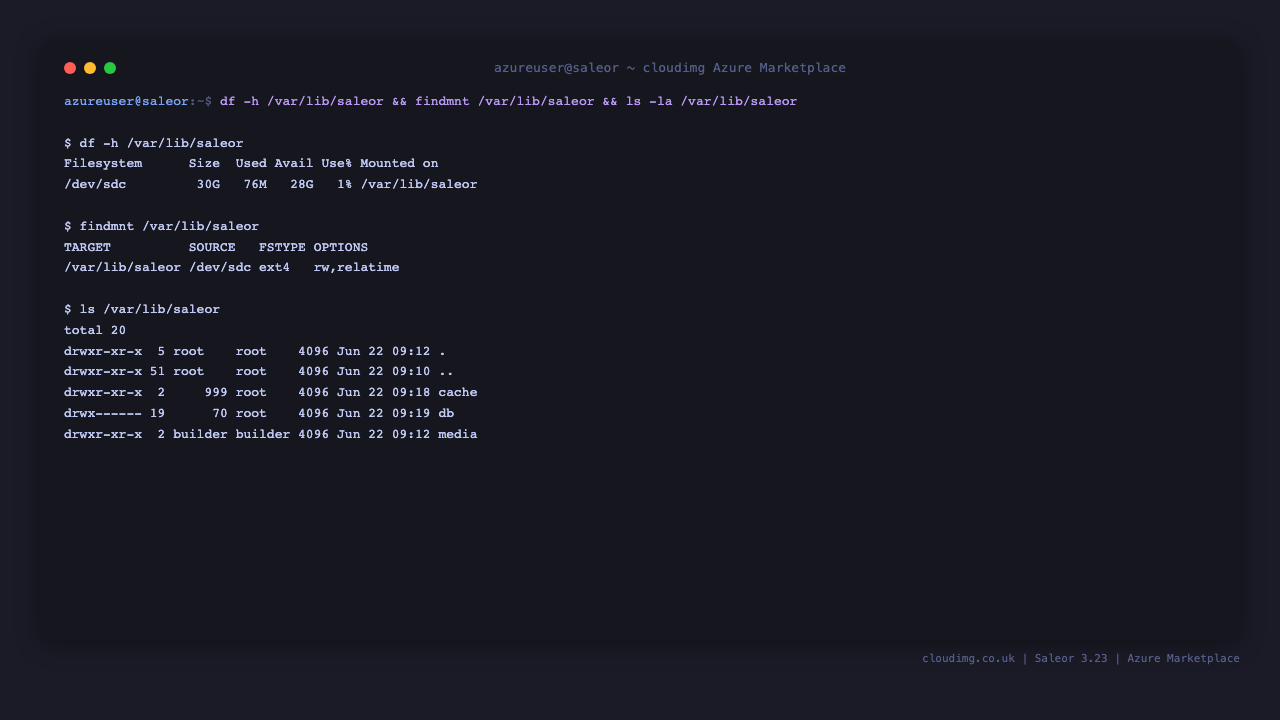 Saleor data disk mounted at /var/lib/saleor