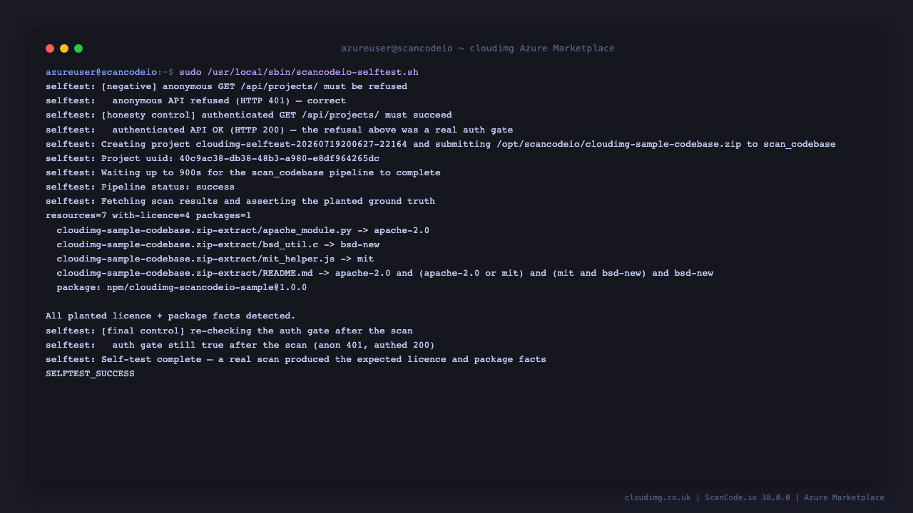 The ScanCode.io self-test running a real scan and asserting the detected licences
