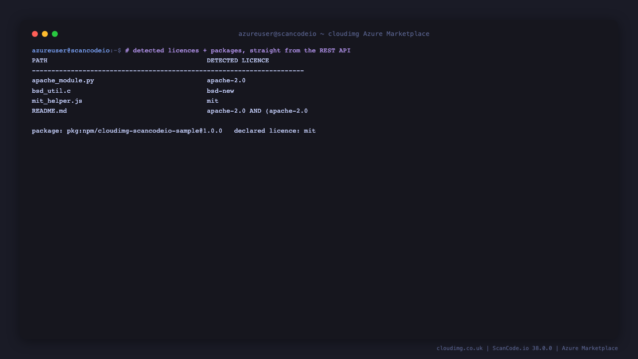 Detected licences and packages read straight from the ScanCode.io REST API