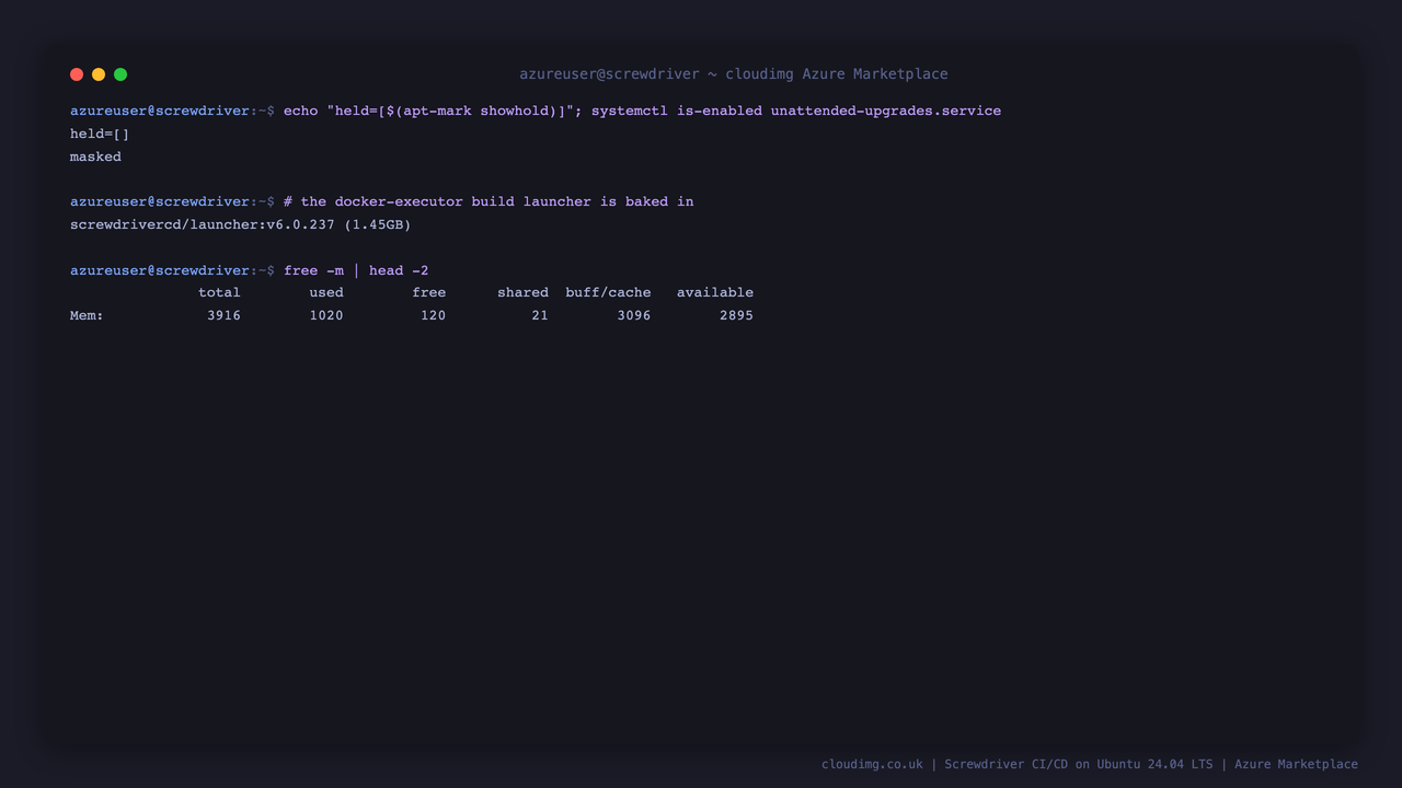 OS patch posture and the baked-in Docker executor launcher